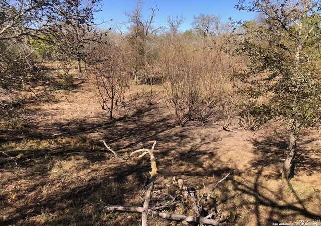 15th image of 0 Single Oak Road, Seguin, TX 78155 | MLS# 1920714