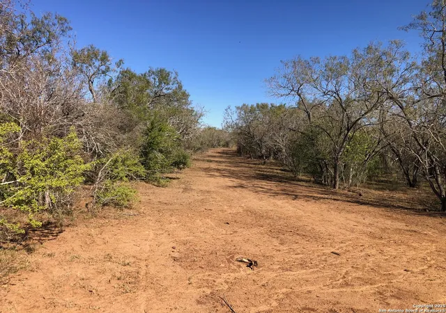 3rd image of 0 Single Oak Road, Seguin, TX 78155 | MLS# 1920714