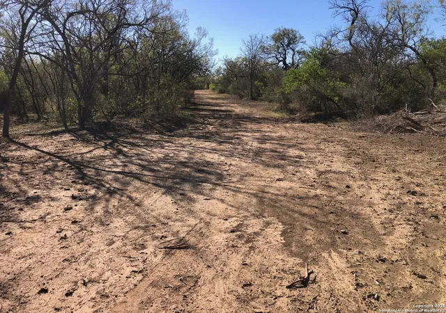 4th image of 0 Single Oak Road, Seguin, TX 78155 | MLS# 1920714