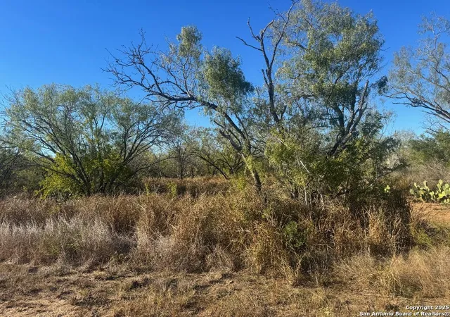 Photo 3 of Land for sale at Lots 2456 2458 Ave J, Christine, TX 78012 | MLS# 1920750 | Listing updated on 2026-04-16