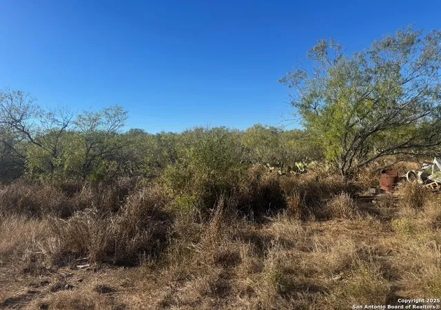 Photo 3 of Land for sale at Lots 2453 2455 Ave J, Christine, TX 78012 | MLS# 1920762 | Listing updated on 2026-04-16