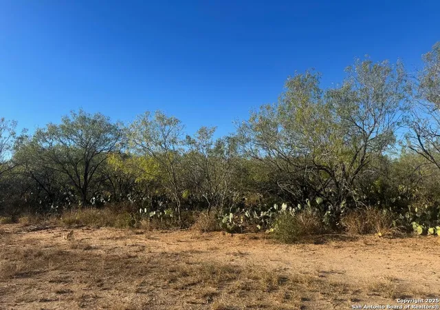 Photo 3 of Land for sale at Lots 2451 2452 Ave J, Christine, TX 78012 | MLS# 1920774 | Listing updated on 2026-04-16