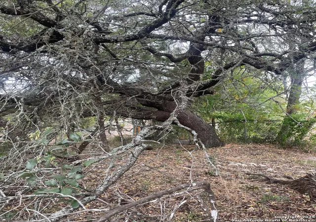 Photo 1 of Land for sale at 749 & 743 Canyon Circle, Canyon Lake, TX 78133 | MLS# 1920869 | Listing updated on 2026-04-21