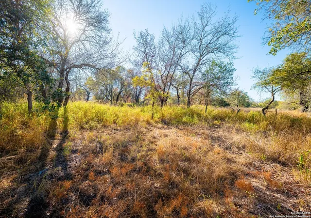 Photo 3 of Land for sale at 21270 Priest Rd, Elmendorf, TX 78112 | MLS# 1921267 | Listing updated on 2026-03-13
