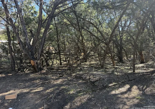 5th image of 267 Tejas, Bandera, TX 78003 | MLS# 1921683