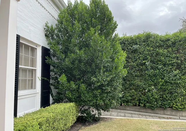 Photo 3 of Sale Pending at 118 Hollywood, San Antonio, TX 78212 | MLS# 1921732 | Listing updated on 2025-12-04