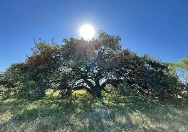4th image of 970 Newman, Poteet, TX 78065 | MLS# 1922244