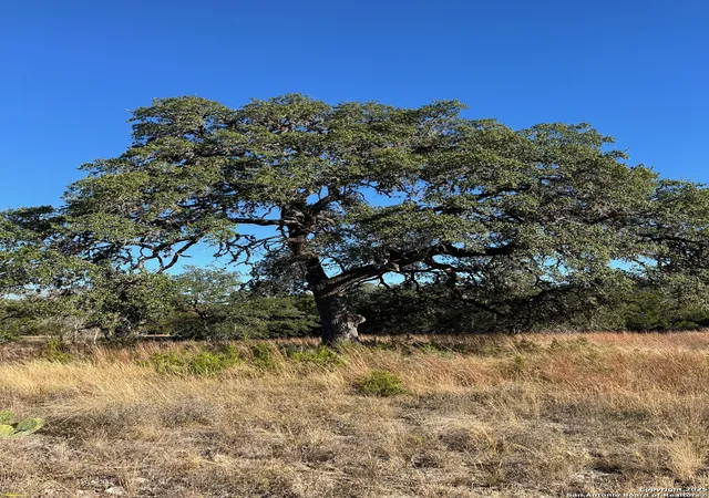 Photo 3 of Land for sale at Lot 2 Live Oak Ridge, Bandera, TX 78003 | MLS# 1922442 | Listing updated on 2025-11-23