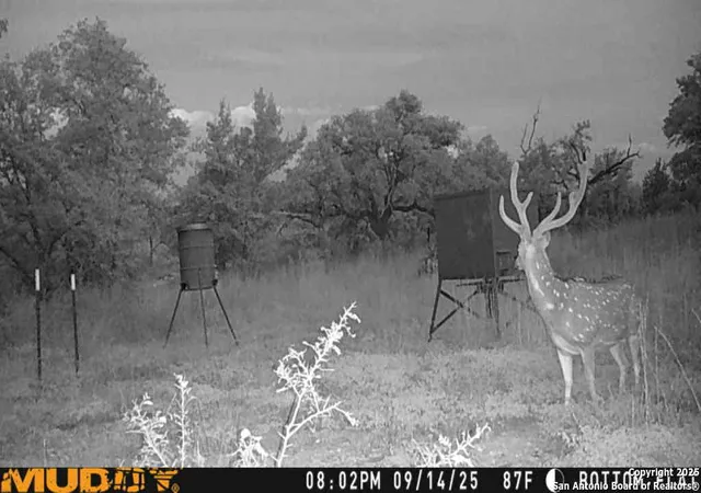 Photo 1 of Land for sale at Lot 2 Live Oak Ridge, Bandera, TX 78003 | MLS# 1922442 | Listing updated on 2025-11-23