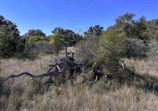 27th image of Lot 1 Sophie Dr, Bandera, TX 78003 | MLS# 1922680
