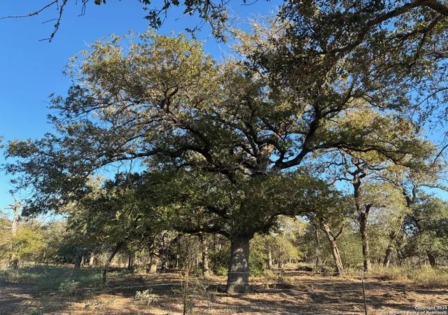 Photo 3 of Land for sale at 413 Batey Rd, Seguin, TX 78155 | MLS# 1922876 | Listing updated on 2026-02-10