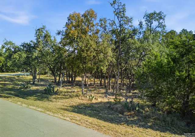 27th image of 564 Saxet, Spring Branch, TX 78070 | MLS# 1922975