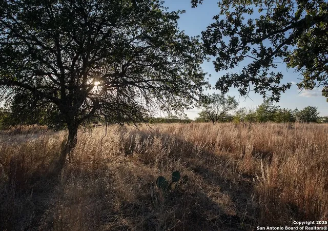 Photo 1 of Land for sale at 000 Black Jack Road, Fredonia, TX 76842 | MLS# 1923148 | Listing updated on 2026-05-26