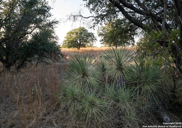 Photo 4 of House for sale at 000 Black Jack Road, Fredonia, TX 76842 | MLS# 1923148 | Listing updated on 2026-05-26