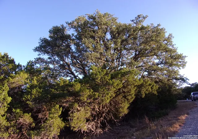 3rd image of 361/395 Mountain Wood, Canyon Lake, TX 78133 | MLS# 1923298
