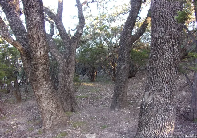 4th image of 361/395 Mountain Wood, Canyon Lake, TX 78133 | MLS# 1923298