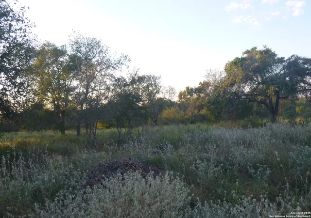 Photo 3 of Land for sale at 00 Trumbo Rd Trumbo, San Antonio, TX 78264 | MLS# 1923343 | Listing updated on 2025-11-28