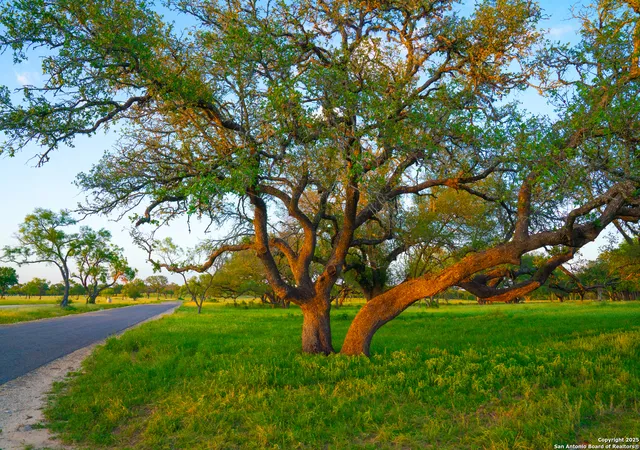 Photo 3 of House for sale at 0000 Golden Hour Ranch, Johnson City, TX 78636 | MLS# 1923617 | Listing updated on 2025-12-02