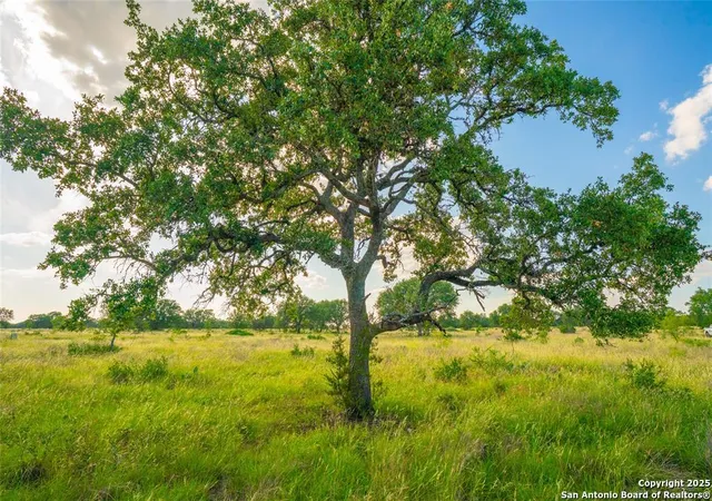 Photo 1 of Land for sale at 0000 Long View Ranch, Johnson City, TX 78636 | MLS# 1923619 | Listing updated on 2025-12-02