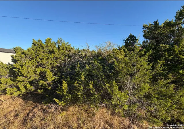 Photo 3 of Land for sale at 1343 Rimrock, Spring Branch, TX 78070 | MLS# 1923733 | Listing updated on 2025-11-29