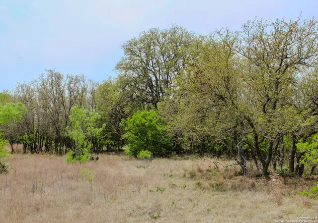 3rd image of Tbd Cr 341, Hondo, TX 78861 | MLS# 1923823