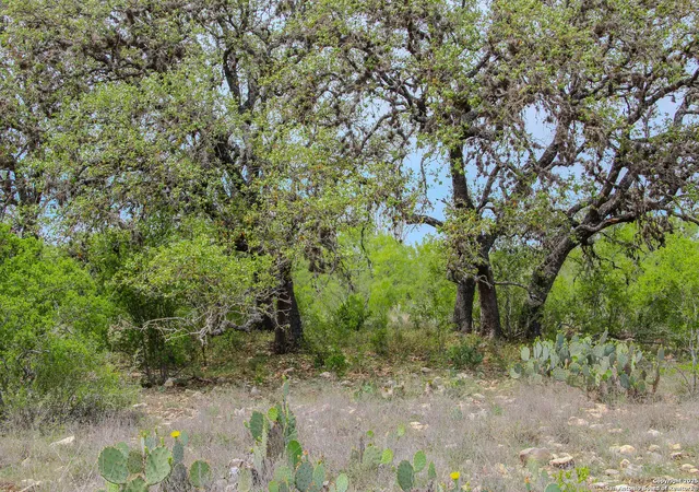4th image of Tbd Cr 341, Hondo, TX 78861 | MLS# 1923823