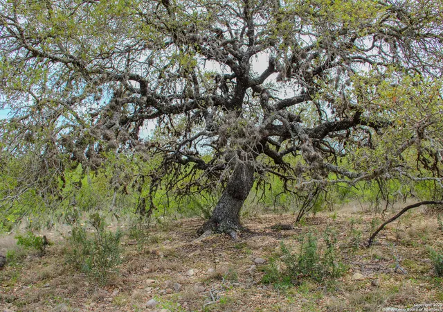 5th image of Tbd Cr 341, Hondo, TX 78861 | MLS# 1923823