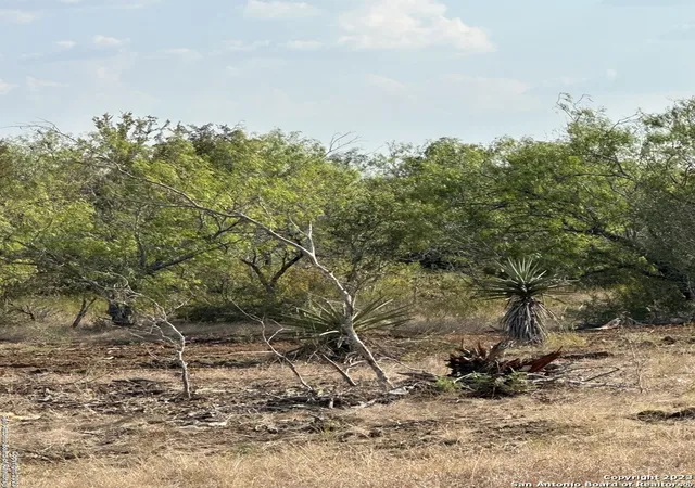 Photo 3 of Land for sale at 5894 Fm 1107 Unit A Tract 2, Stockdale, TX 78160 | MLS# 1924146 | Listing updated on 2026-01-27