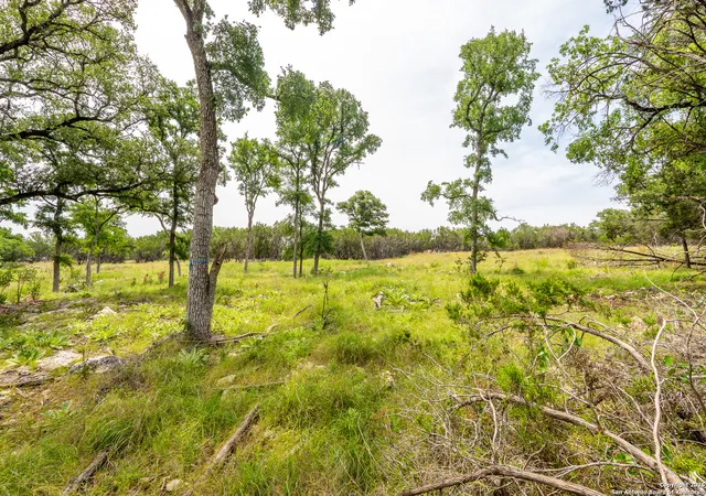 5th image of Lot 9 Cielo Vista, Fredericksburg, TX 78624 | MLS# 1924218