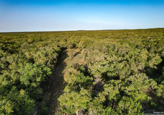 5th image of Tbd Pr 233, Hondo, TX 78861 | MLS# 1924421