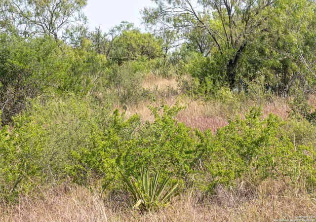 Homes for sale in St. Hedwig, TX | Tbd Pittman Rd, St. Hedwig, TX 78152 | MLS# 1924595