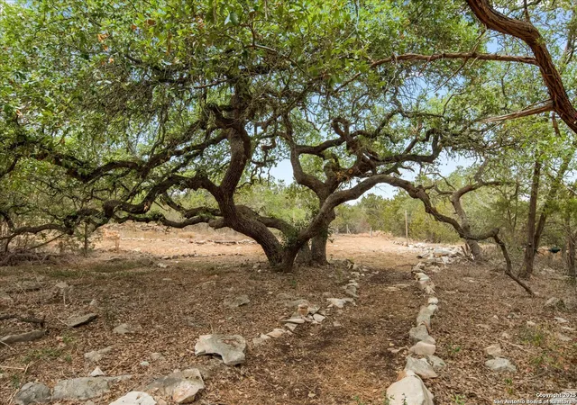 Photo 3 of Land for sale at 1600 Alpine, San Marcos, TX 78666 | MLS# 1924648 | Listing updated on 2026-01-26