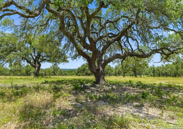 3rd image of Tbd Lindeman Lane, Blanco, TX 78606 | MLS# 1925002
