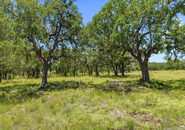 4th image of Tbd Lindeman Lane, Blanco, TX 78606 | MLS# 1925002