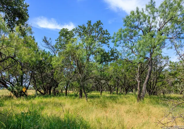 Homes for sale in Fredericksburg, TX | 3936 S State Hwy 16, Fredericksburg, TX 78624 | MLS# 1925270