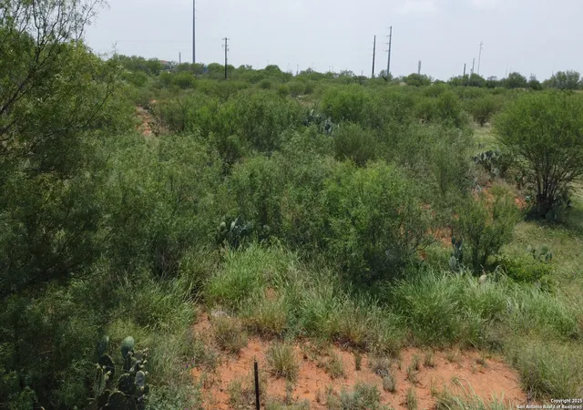 Photo 4 of Sale Pending at 2438 Interstate 35, Cotulla, TX 78014 | MLS# 1925346 | Listing updated on 2026-09-11
