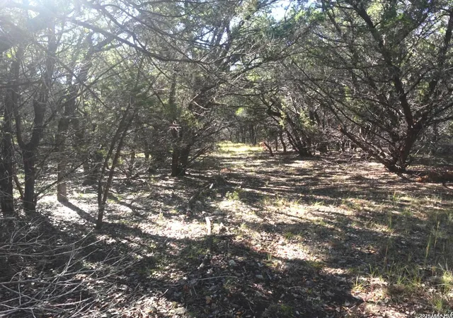 4th image of 110 Estates, Wimberley, TX 78676 | MLS# 1925516