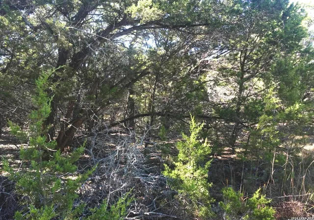 5th image of 110 Estates, Wimberley, TX 78676 | MLS# 1925516