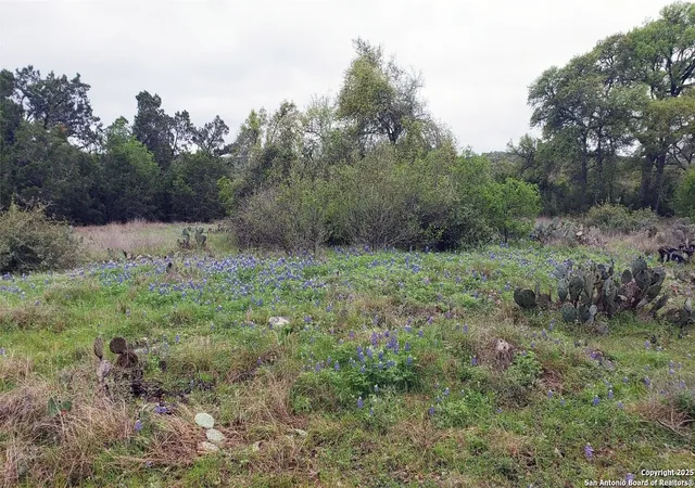 Photo 3 of Land for sale at 301 Rim Rock Ranch, San Marcos, TX 78666 | MLS# 1925670 | Listing updated on 2026-07-22