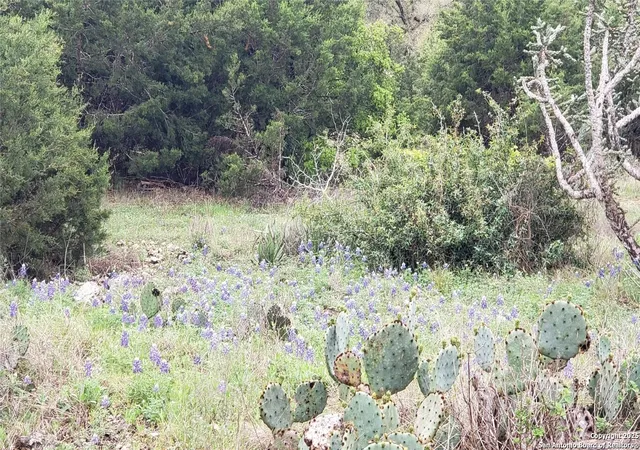 Photo 2 of Land for sale at 301 Rim Rock Ranch, San Marcos, TX 78666 | MLS# 1925670 | Listing updated on 2026-07-22