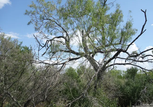 2nd image of Tbd 1343, Castroville, TX 78009 | MLS# 1925706