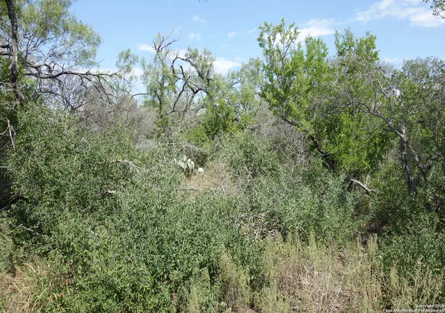 3rd image of Tbd 1343, Castroville, TX 78009 | MLS# 1925706