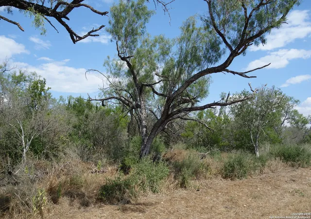 5th image of Tbd 1343, Castroville, TX 78009 | MLS# 1925706