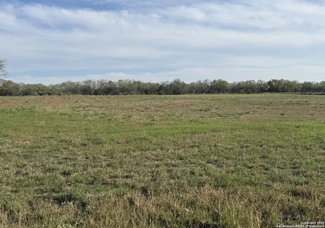 Homes for sale in Saint Hedwig, TX | 13208 Adkins Saint Hedwig Rd, Saint Hedwig, TX 78152 | MLS# 1926038