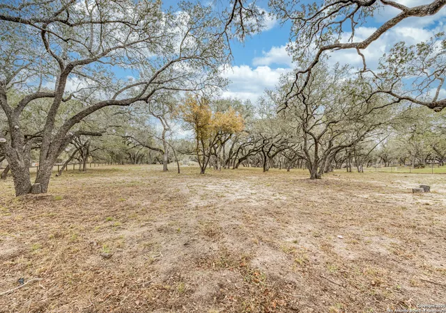 50th image of 864 Paddy Rd, Floresville, TX 78114 | MLS# 1926707
