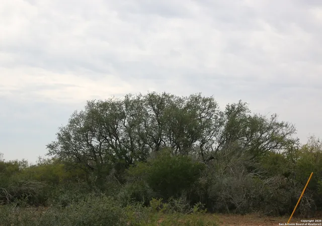 3rd image of Tbd County Road 651, Devine, TX 78016 | MLS# 1926868