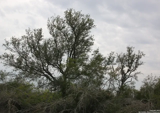 2nd image of Tbd #2 County Road 567, Devine, TX 78016 | MLS# 1926871