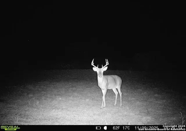 Photo 4 of Sale Pending at 0 County Rd 203, Alice, TX 78332 | MLS# 1926966 | Listing updated on 2026-04-04