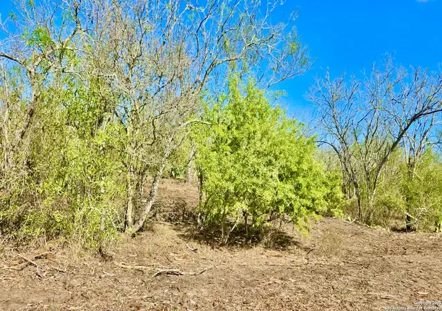 Photo 2 of Land for sale at 0 County Road 107, Runge, TX 78151 | MLS# 1926986 | Listing updated on 2026-01-15