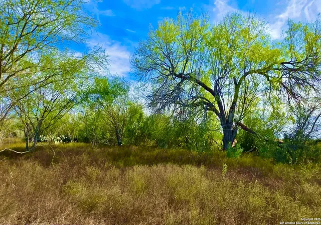 Land for sale at 0 County Road 107, Runge, TX 78151 | MLS# 1926986